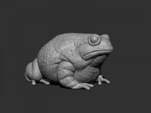 3d anaxyrus for printing Model do druku 3D