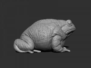 3d anaxyrus for printing Modello di stampa 3D