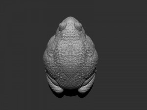 3d anaxyrus for printing Modello di stampa 3D