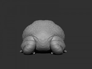 3d anaxyrus for printing Modello di stampa 3D