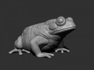 3d bufotes for printing Model do druku 3D