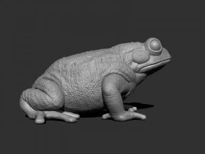 3d bufotes for printing 3D Print Model