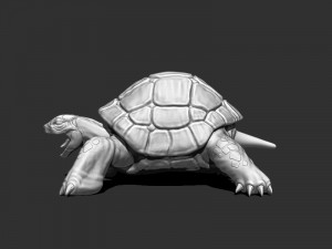3d turtle Modèle 3D
