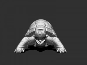 3d turtle Modèle 3D