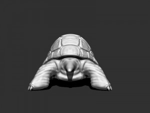 3d turtle Modèle 3D