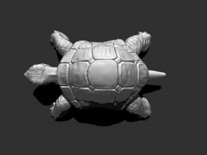 3d turtle Modèle 3D