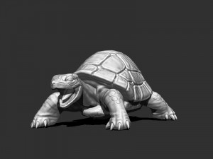 3d turtle Modèle 3D