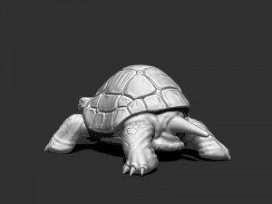 3d turtle Modèle 3D