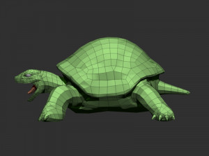 3d turtle Modèle 3D