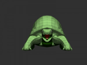 3d turtle Modèle 3D