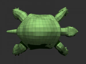 3d turtle 3D Model