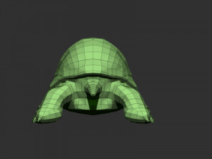 3d turtle Modèle 3D