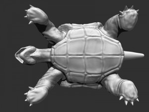3d turtle Modèle 3D