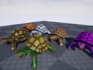 3d turtle 3D Model