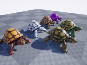 3d turtle Modèle 3D