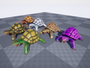 3d turtle Modèle 3D