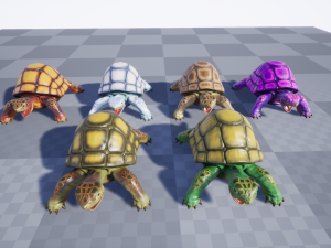 3d turtle Modèle 3D