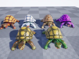 3d turtle 3D Model
