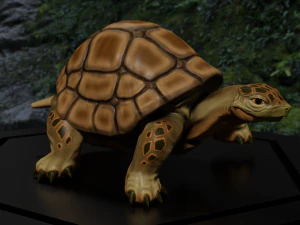 3d turtle 3D Model