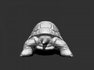 3d turtle for printing Model Cetak 3D