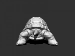 3d turtle for printing 3D Print Model