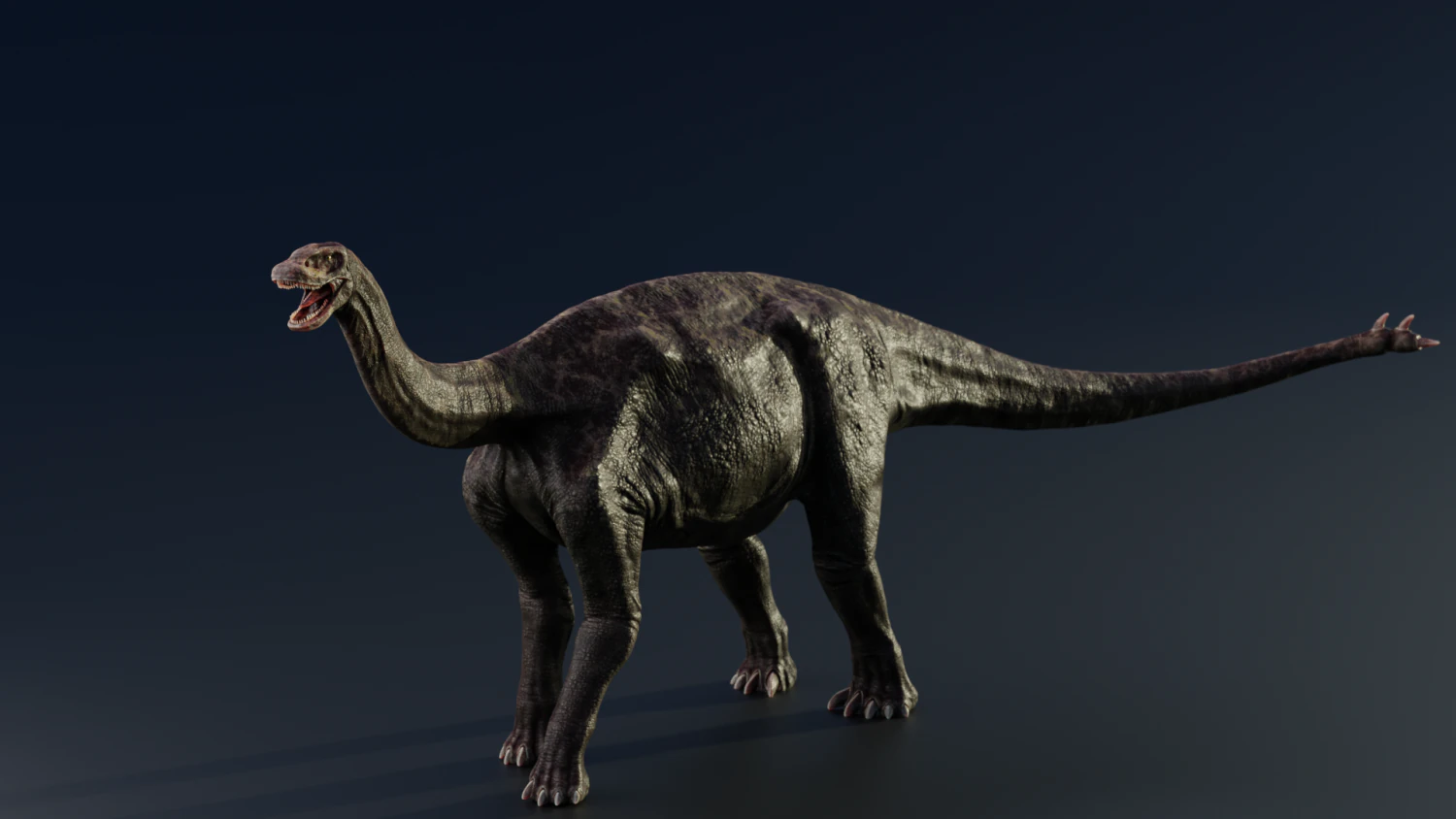 3d shunosaurus 3D Model .c4d .max .obj .3ds .fbx .stl .blend 