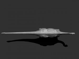 3d shunosaurus 3D Model