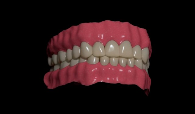 human teeth Modelo 3D .c4d .max .obj .3ds .fbx .stl .blend 
