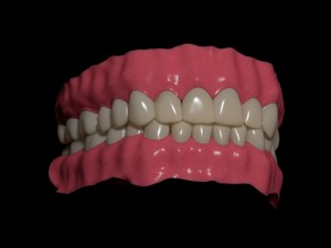 human teeth Modello 3D