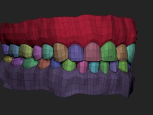 human teeth Modelo 3D