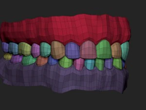 human teeth 3D Model