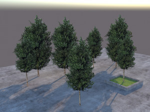 Low Poly Tree 3D Model