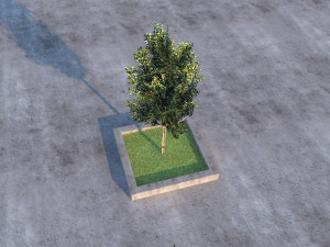 Low Poly Tree 3D Model