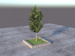 Low Poly Tree 3D Model