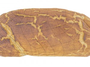 tiger bread - low and high poly versions 3D Model