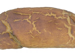 tiger bread - low and high poly versions 3D Model