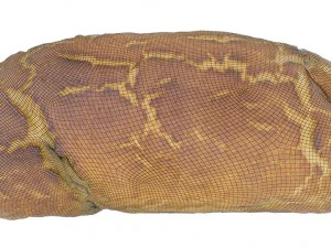 tiger bread - low and high poly versions 3D Model