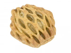 fatia de ma&ccedil;&atilde; - vers&otilde;es high e low poly Modelo 3D