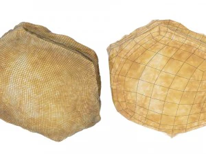 apple slice - high and low poly versions 3D Model