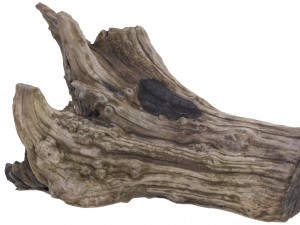petrified wood stump - high and low poly versions 3D Model