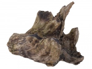 petrified wood stump - high and low poly versions Modèle 3D