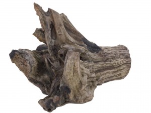 petrified wood stump - high and low poly versions Modèle 3D
