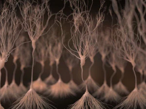 ultra realistic neurons set of 9 unique variations 3D Model