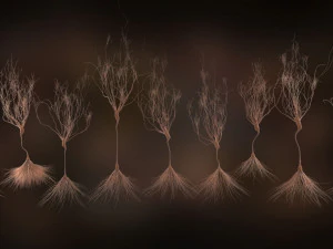 ultra realistic neurons set of 9 unique variations 3D Model