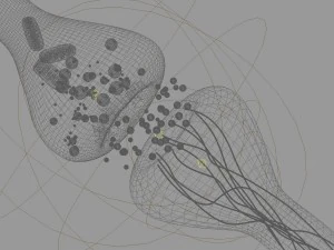 active receptor human brain in details 3D Model