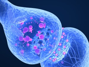 active receptor human brain in details 3D Model