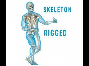 human skeleton and body rigged 3D Model