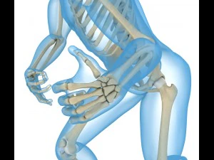 human skeleton and body rigged 3D Model