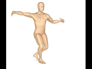 human skeleton and body rigged 3D Model
