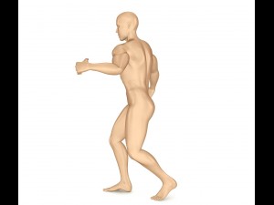 human skeleton and body rigged Model 3D